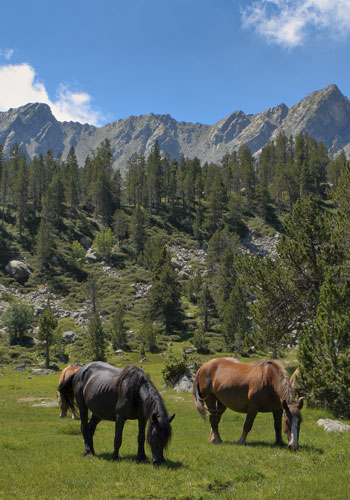 Aixirivall Andorre